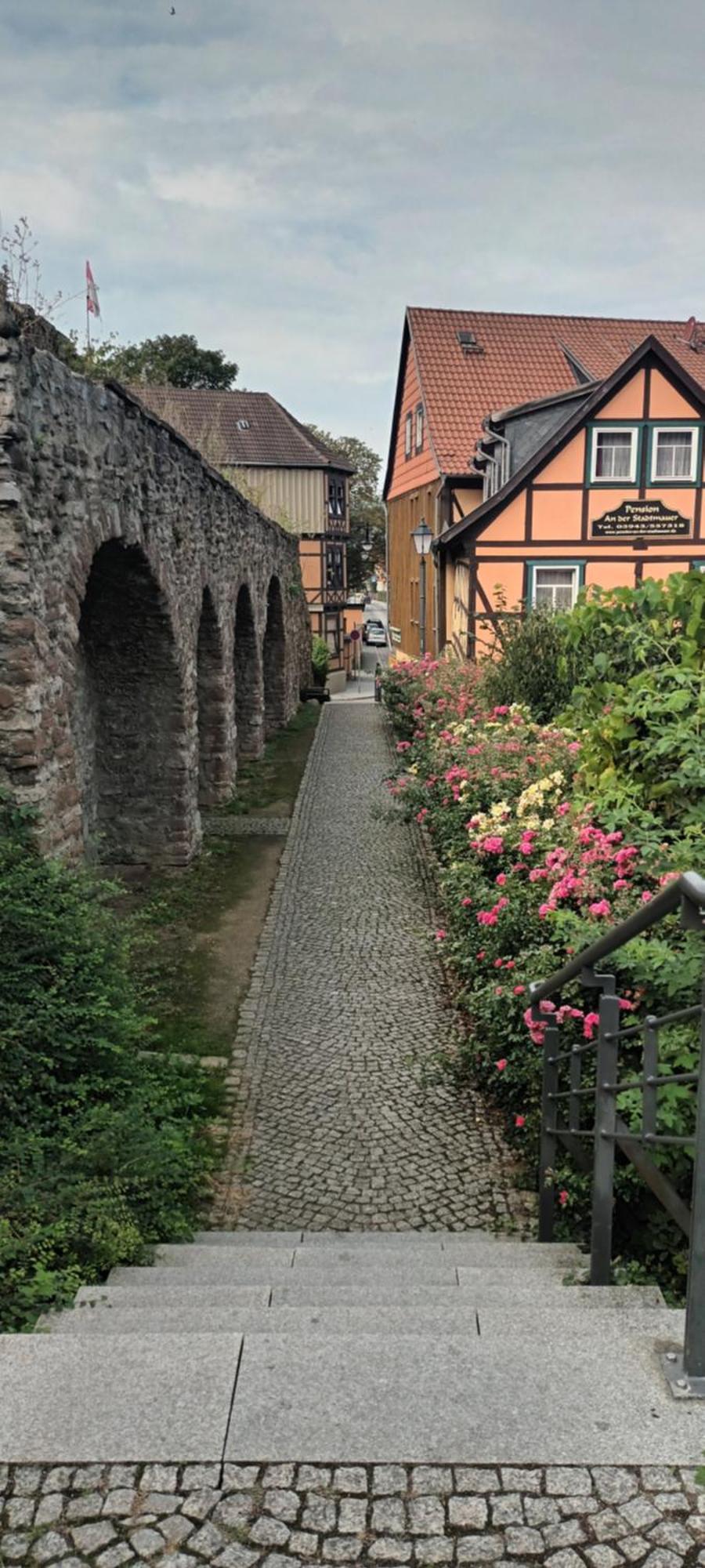 Spatzennest Wernigerode Zewnętrze zdjęcie